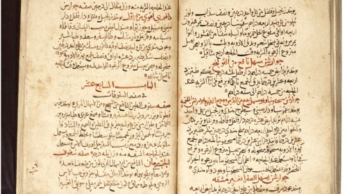 Два тома из "Полной книги медицинского искусства" авторства Али ибн аль-Аббаса аль-Маюси, переписанные Ибн аль-Авани