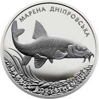 НБУ выпустил памятную монету "Марена дніпровська"
