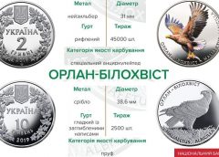 НБУ выпустил памятную монету «Орлан-білохвіст» в серебре и нейзильбере